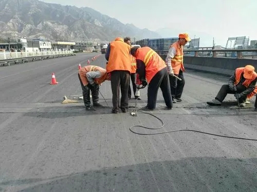 郏县道路桥梁病害治理